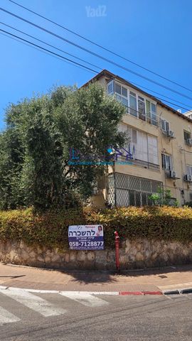 ברודצקי אשר 2