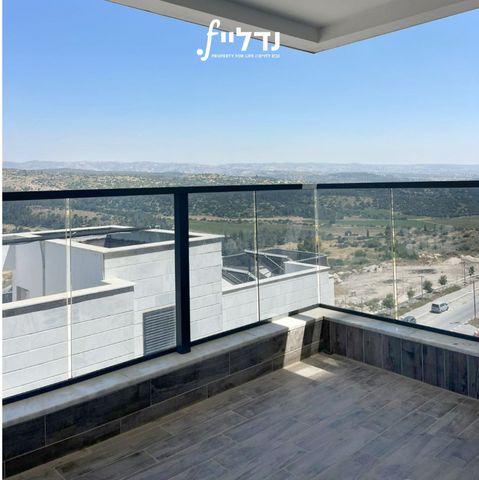 רועי קליין 25