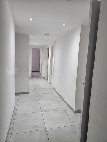זלדה שניאורסון 11