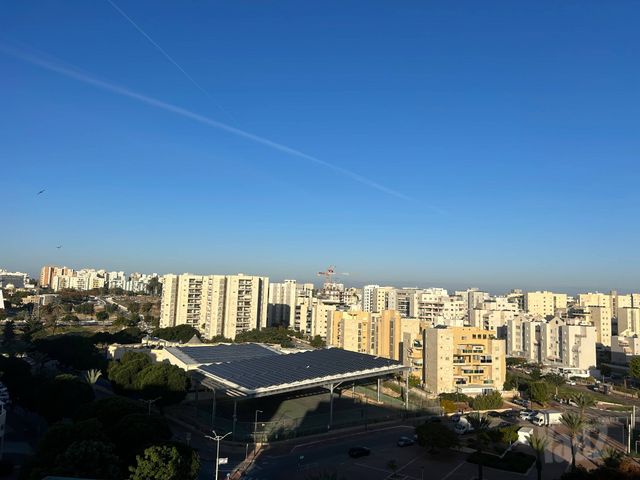 אלי כהן 42
