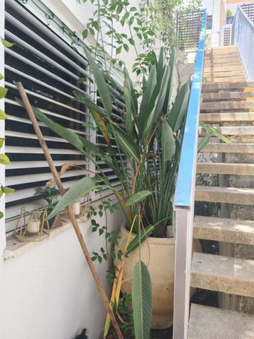יחידת דיור להשכרה בתל אביב יפו — 2