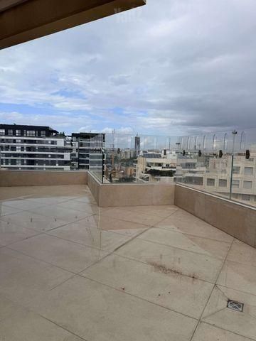 גג/ פנטהאוז להשכרה בתל אביב יפו — 4