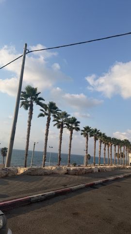 אוסקר שינדלר 