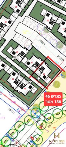 אקליפטוס 46