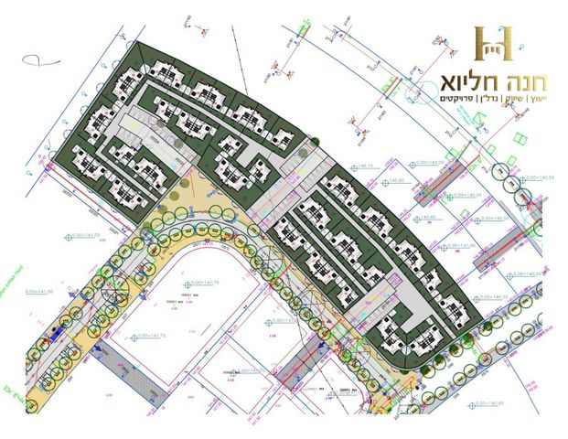 אקליפטוס 26