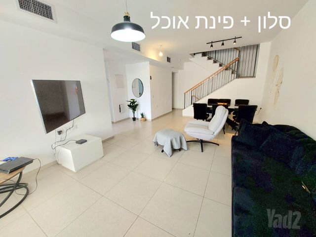 חסידה 29