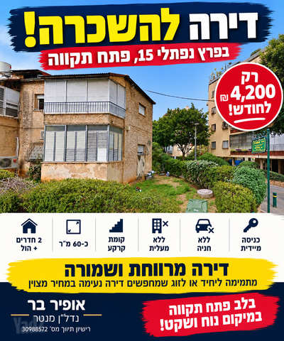 פרץ נפתלי 15