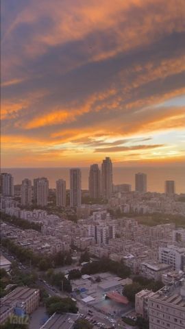 הרב ניסנבאום 37