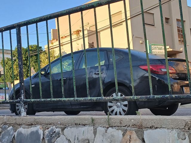 מודעת רכב אופל אסטרה