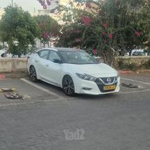מודעת רכב ניסאן מקסימה