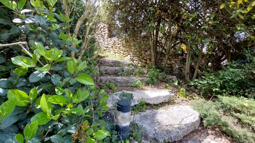 שניר 77
