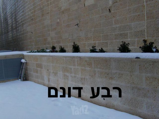 הרב שך 12