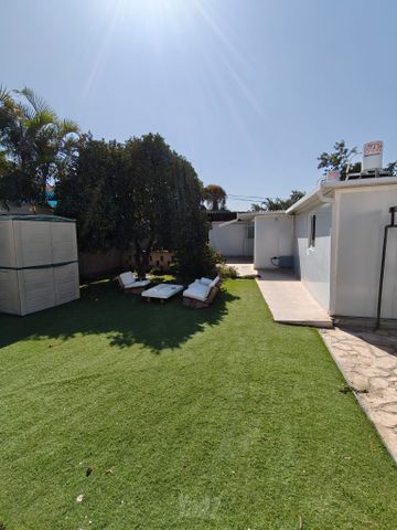 הותיקים 10