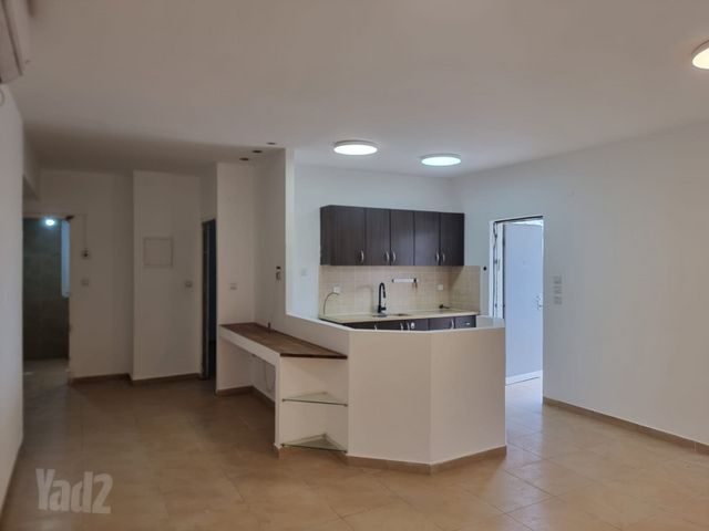 הדקל 51