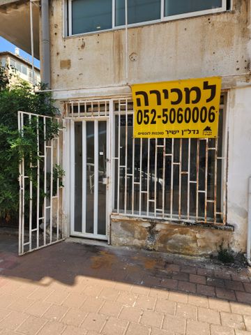 נפתלי הלל 11
