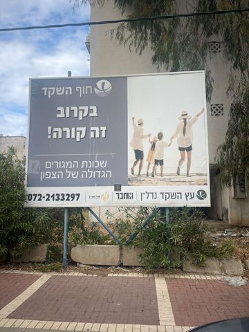 משה שפירא 