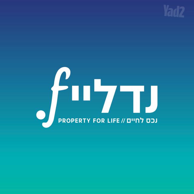 רועי קליין 29