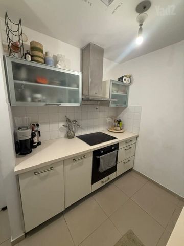 דירה להשכרה בתל אביב יפו (תיווך) — 3