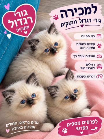 תמונת מודעה - חיות מחמד