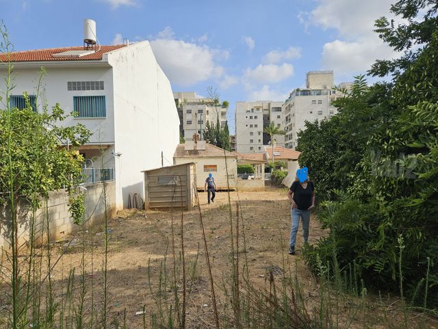 כצנלסון 28