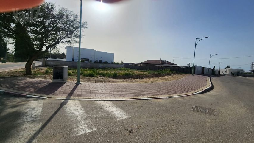 הזית 223