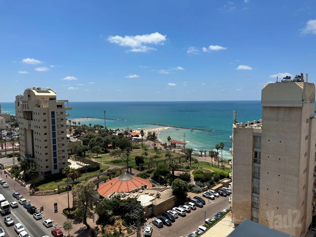 דוד המלך 14