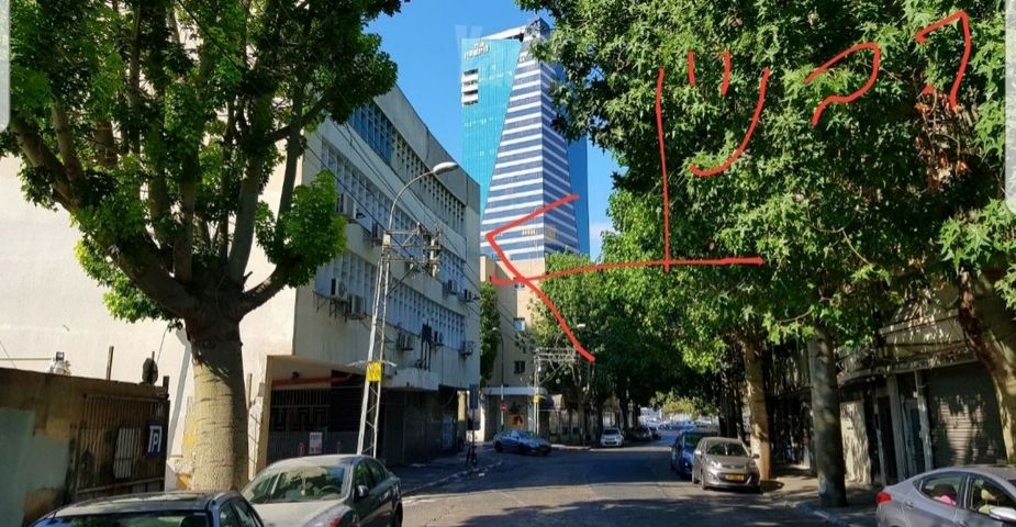 דירה להשכרה בתל אביב יפו (תיווך) — 4
