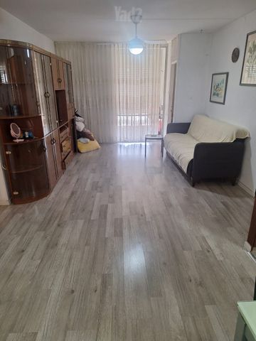 חבצלת 23