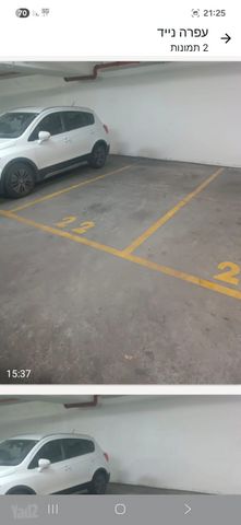שדרת התמרים 1