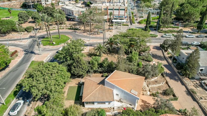 שיזף 