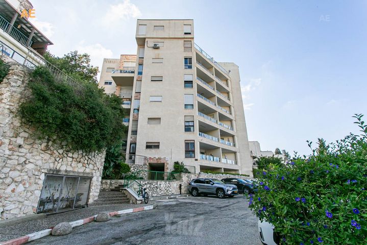 ארתור הנטקה 56