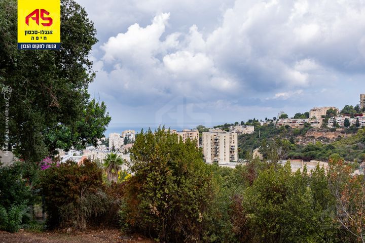 חרוב 