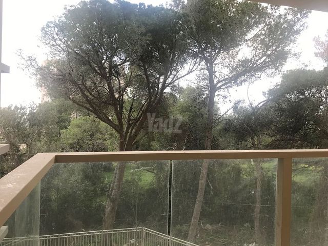 שדרות הצבי 