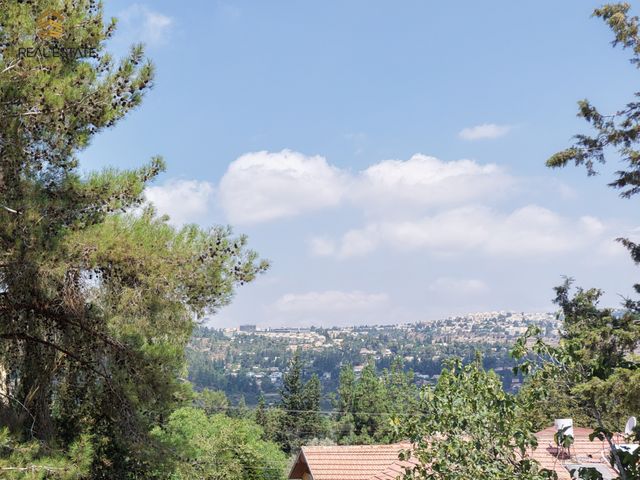 מגרשים