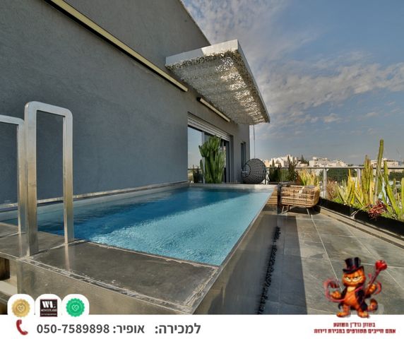 שיינקין 