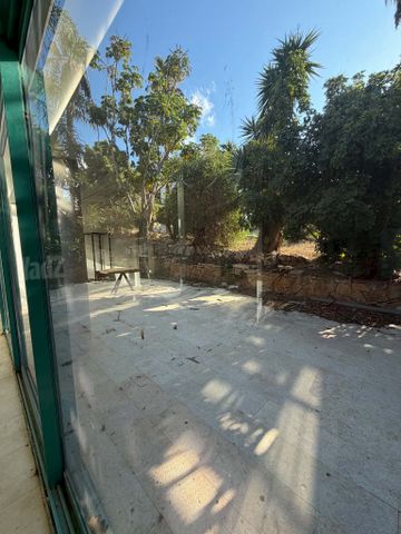 שושנת הכרמל 