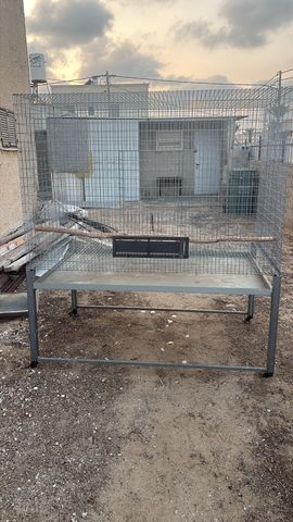 תמונת מודעה - חיות מחמד