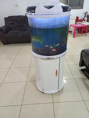 תמונת מודעה - חיות מחמד
