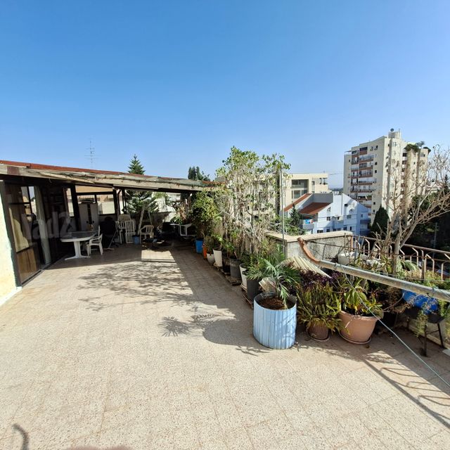 אגרון 15