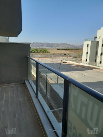 יצחק שמיר 77