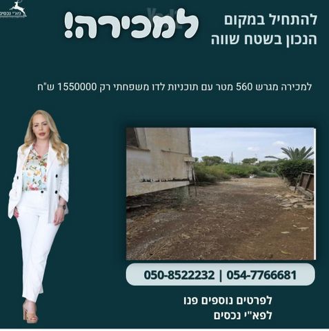צוקית 1