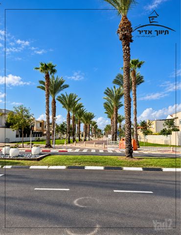 סחלב 11
