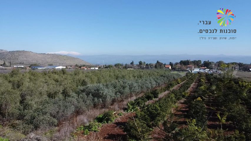 בית פרטי/ קוטג'