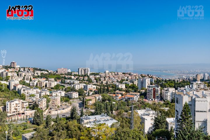 ארתור הנטקה 