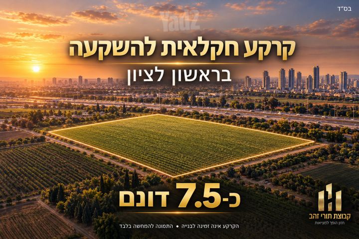 מגרשים, ראשון לציון