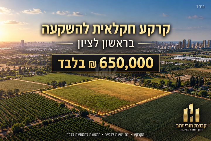 מגרשים