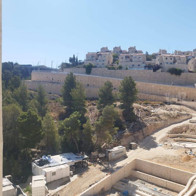 אבנר חי שאקי 