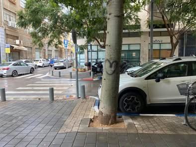 הרב יצחק ידידיה פרנקל 