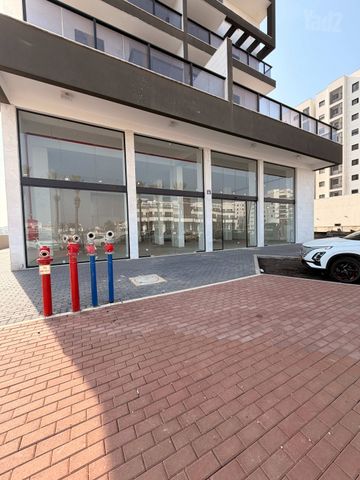 הבנים 48