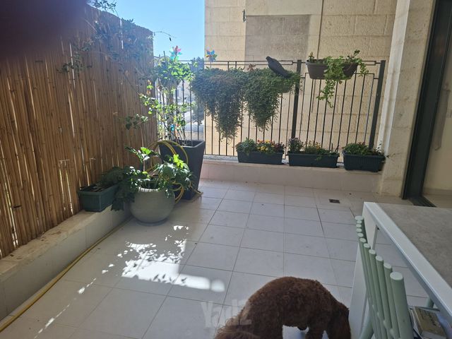 השופט חיים כהן 